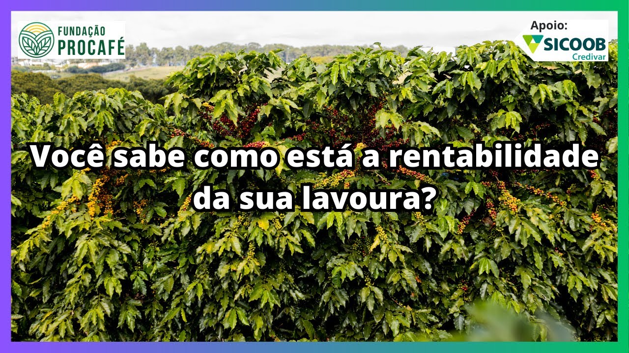 Podcast #203 - Você sabe como está a rentabilidade da sua lavoura?