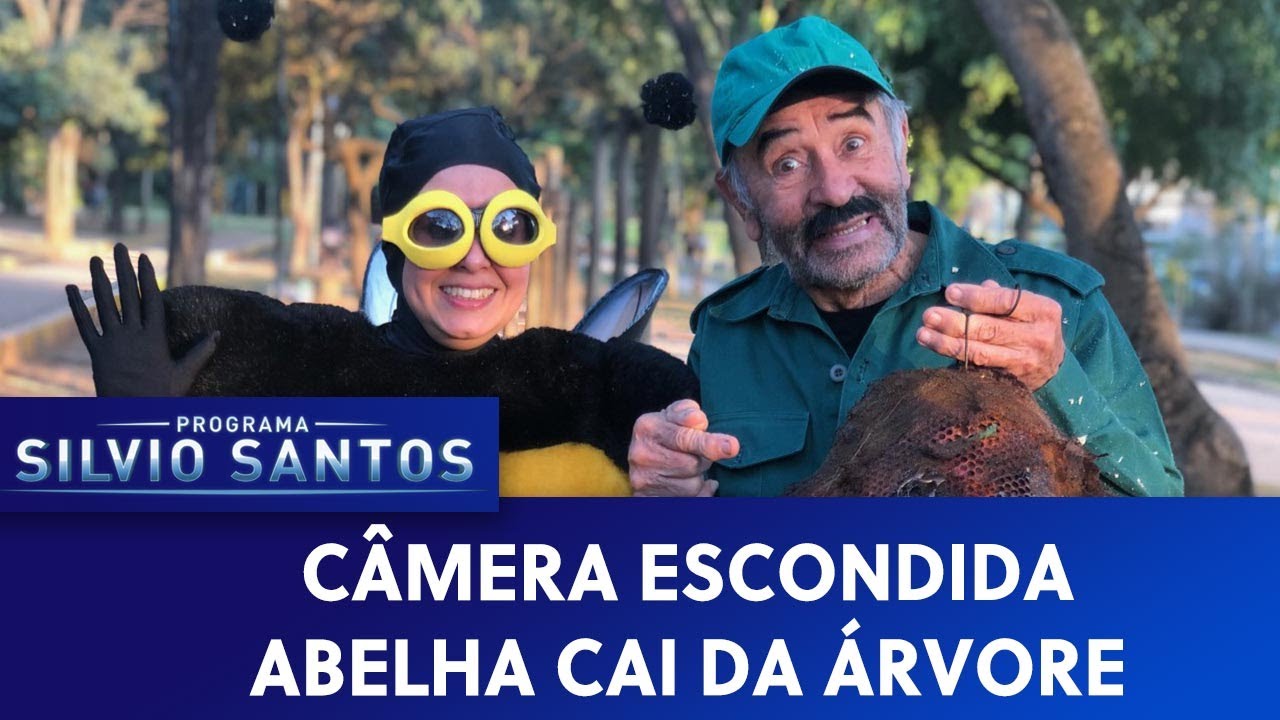Abelha Cai da Árvore - Bee Prank | Câmeras Escondidas (06/10/19)