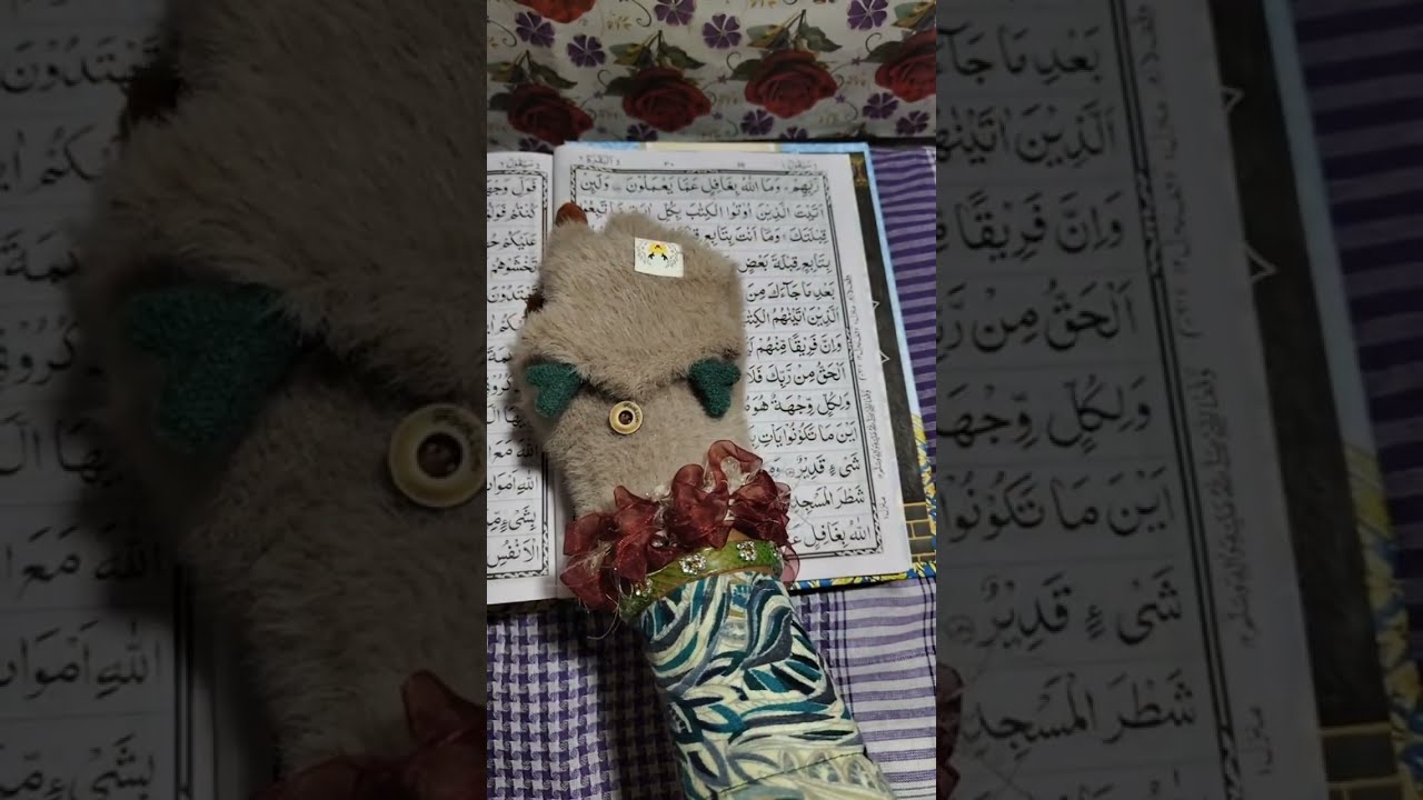 Aaye Quran pak padhte Hain ❤️❤️❤️❤️❤️❤️🤲