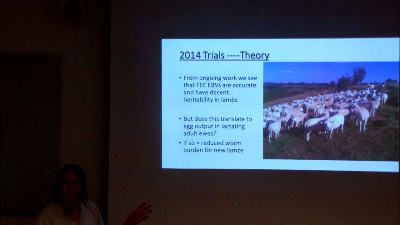 ORC 17 Sheep breeding and health