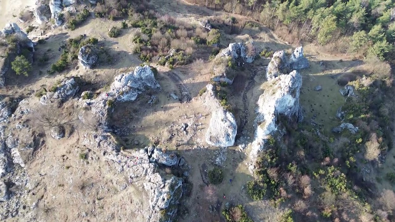 Góra Zborów na Jurze krakowsko-częstochowskiej 