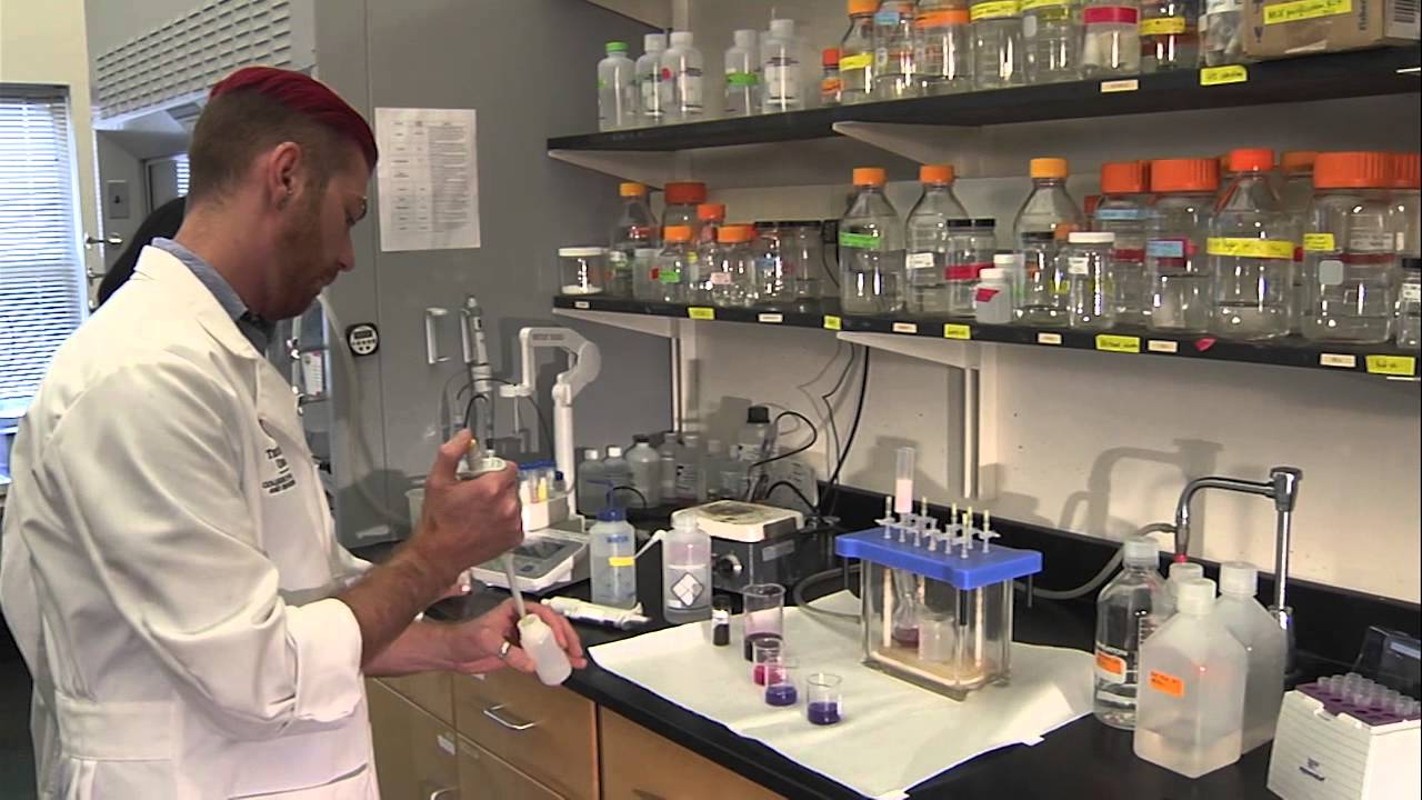 New Research Into Cancer-Fighting Food Dyes