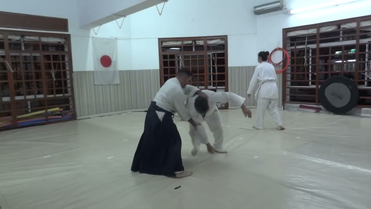 Tai Jutsu - Aikido keiko 2