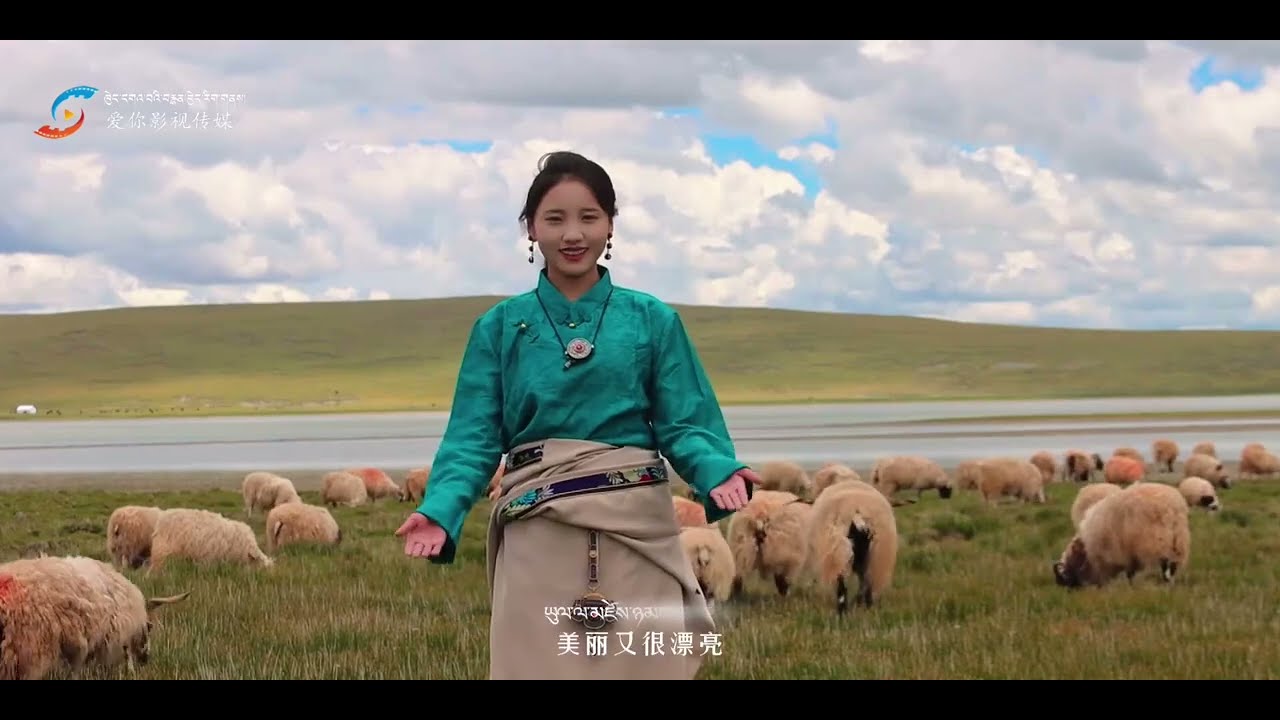 Tibetan Song སྙན་དབྱངས་ཆ་འགྲིག ལྷ་དབང་ཚེ་རིང་། སྒྲོལ་མ་ཆོས་སྐྱིད།  Lhawang Tsering & Dolma Choekyi