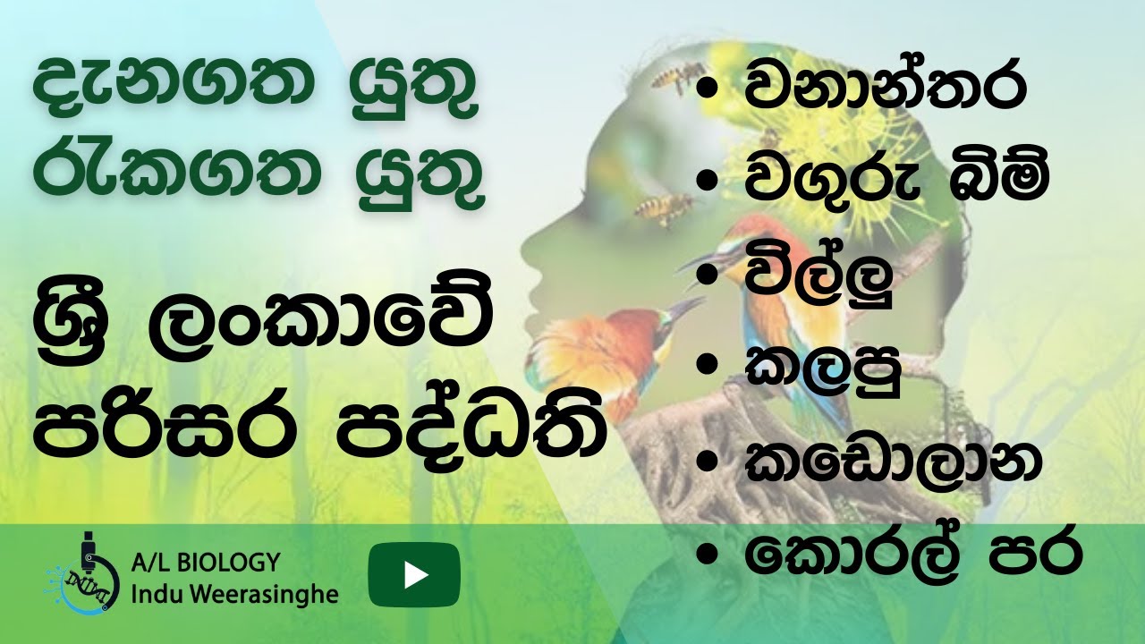 ශ්‍රී ලංකාවේ පරිසර පද්ධති