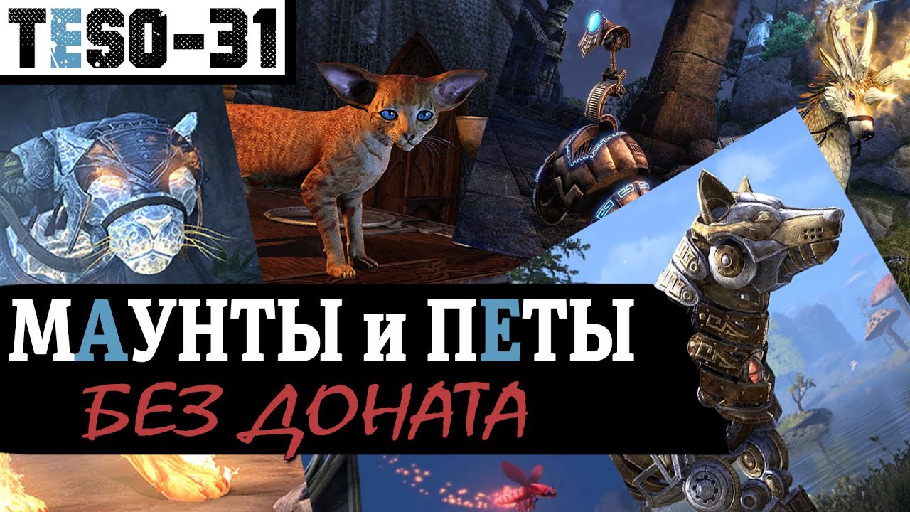 Все БЕСПЛАТНЫЕ маунты и петы в Elder Scrolls Online. Ездовые и декоративные питомцы. TESO(2020)