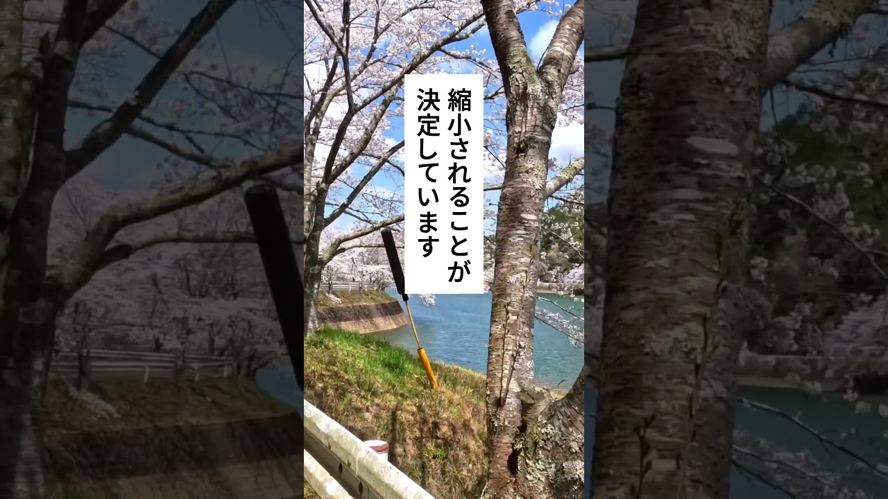 65歳を過ぎたら申請必須！国が黙っている給付金3選 #給付金 #お金の勉強 #高齢者