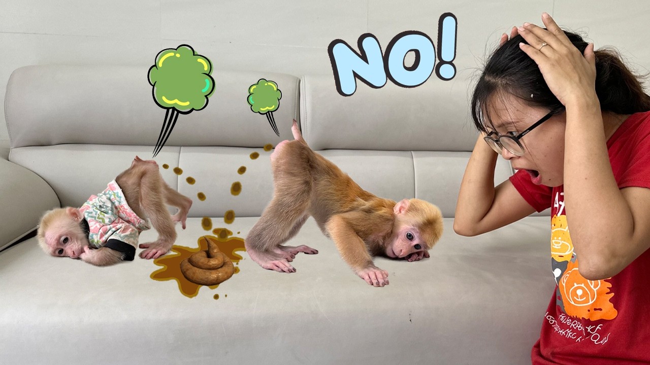 Mom panics because of Lucky and Sunny’s unexpected actions!