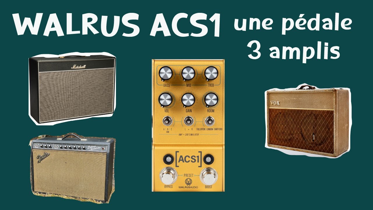 Les 3 grandes marques d'amplis expliquées et le préampli Walrus ACS1
