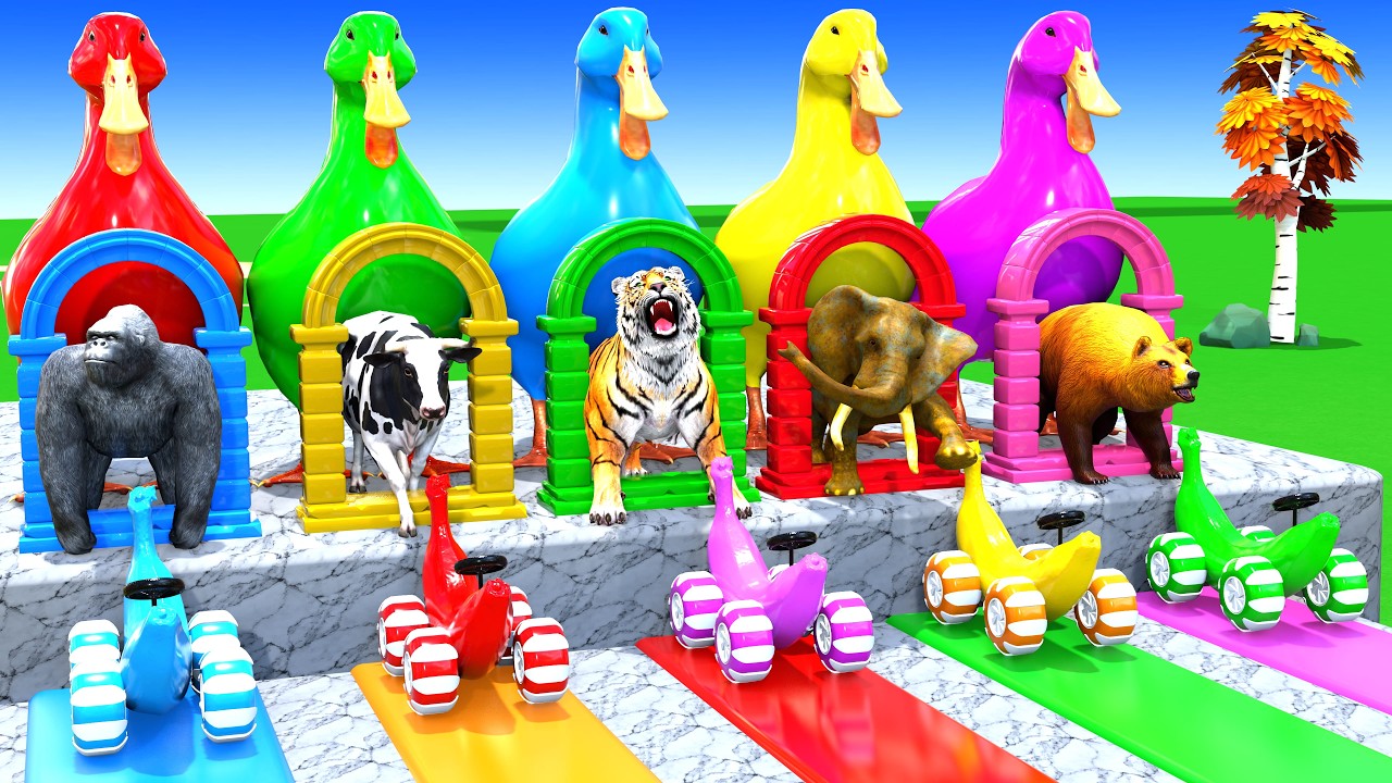 Long Slide Game With Cow Elephant Gorilla Hippopotamus Tiger 3d Animal Game Funny 3d AnimalsVideo