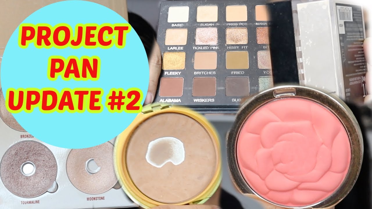 PROJECT PAN 2020 | UPDATE #2