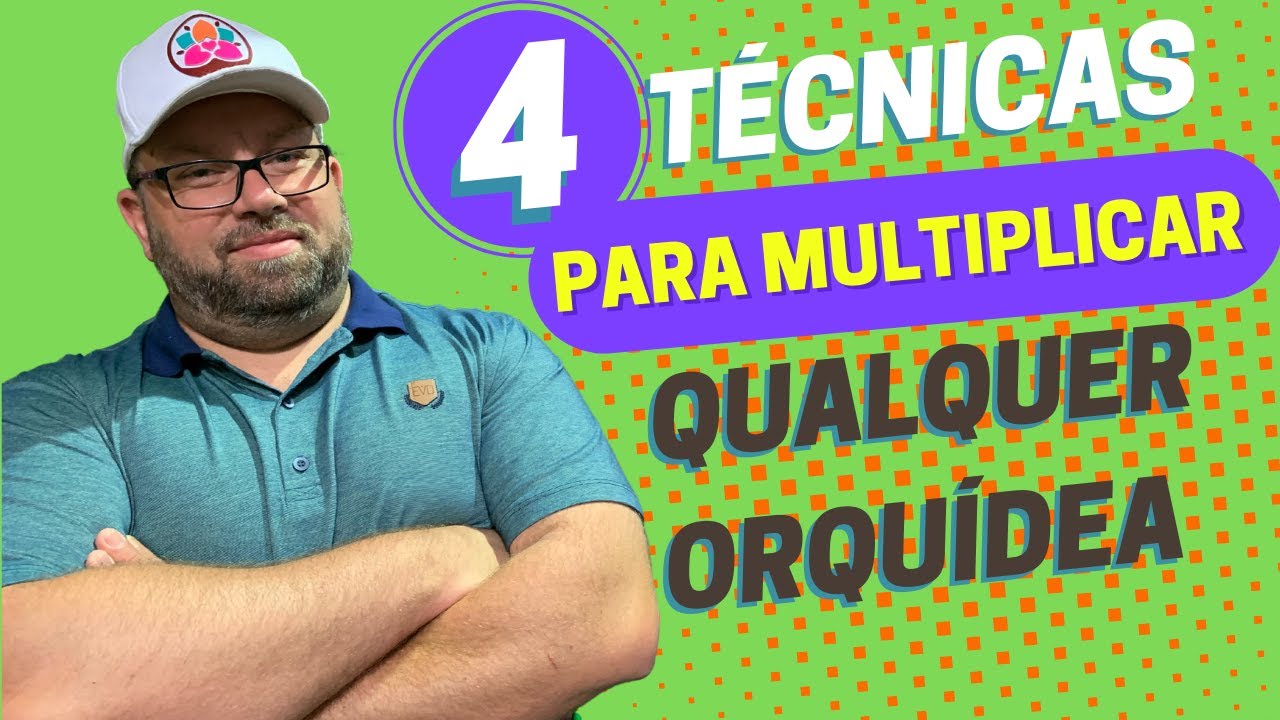 4 TÉCNICAS PARA MULTIPLICAR, ENRAIZAR E BROTAR QUALQUER ORQUÍDEA