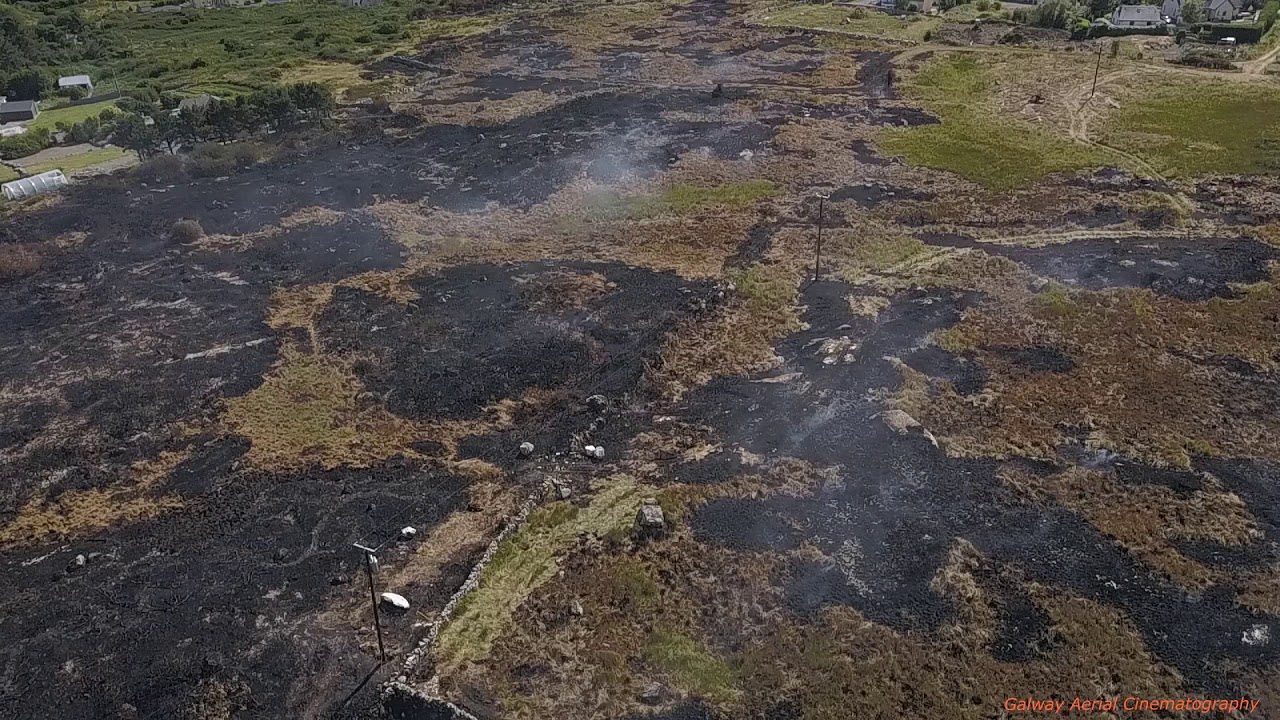 Gorse Fire