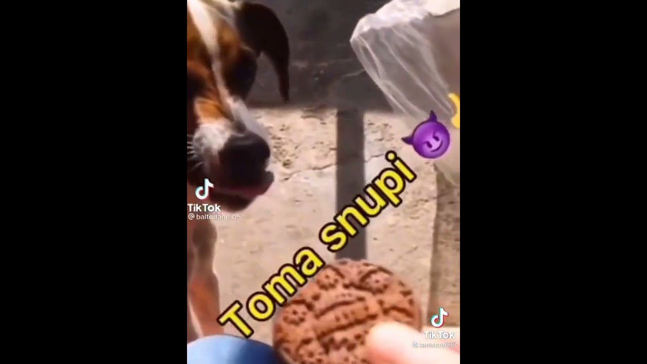 subiendo pendejadas hasta hacerme viral