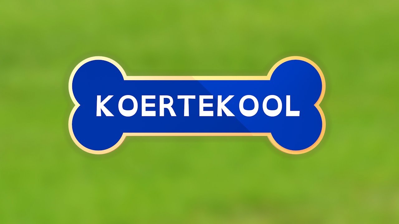 BIGBANK - Koertekool: Miks koerad inimeste peale h&uuml;ppavad?