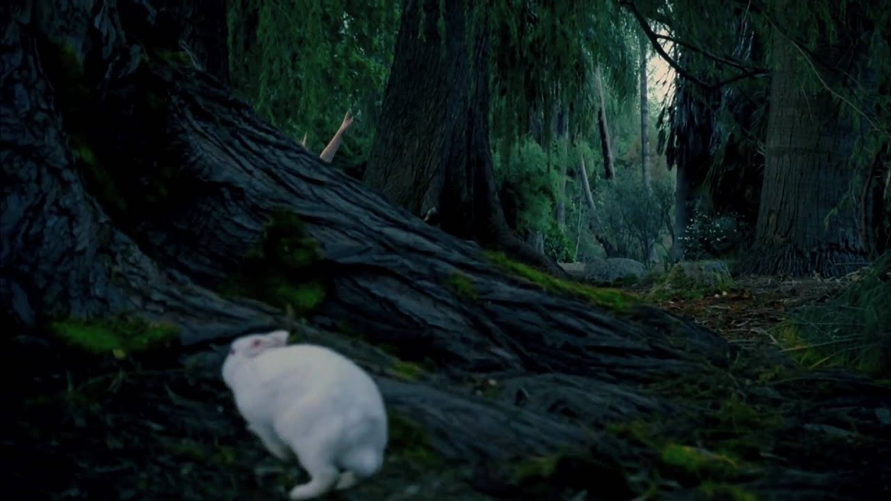 Avril Lavigne - Official Music Video - Alice (Underground)