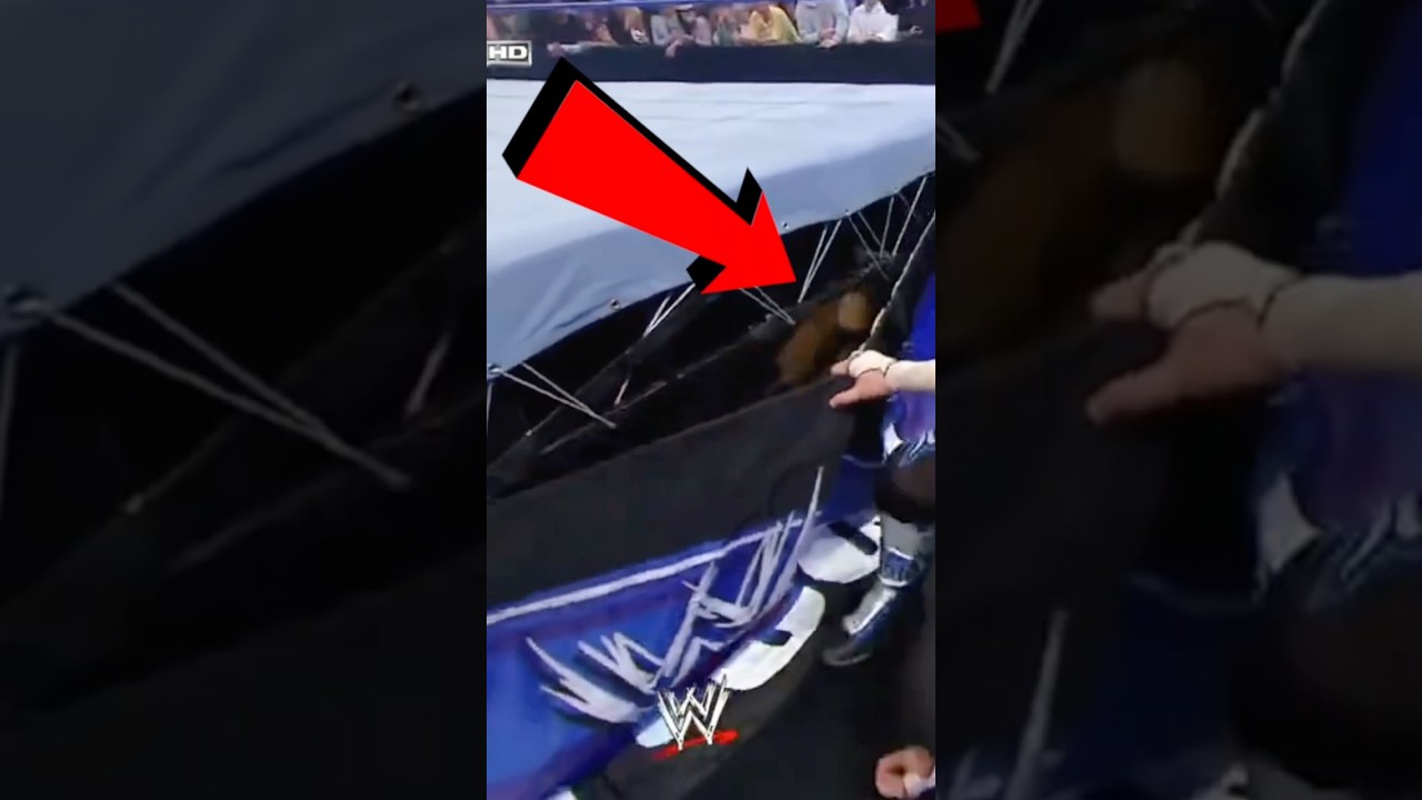 Secret WWE Easter Egg