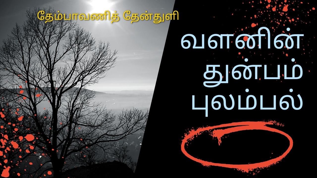 084 வளனின் துன்பம் புலம்பல் -  தேம்பாவணித் தேன்துளி - தனராசு சேச Feb 19, 2026