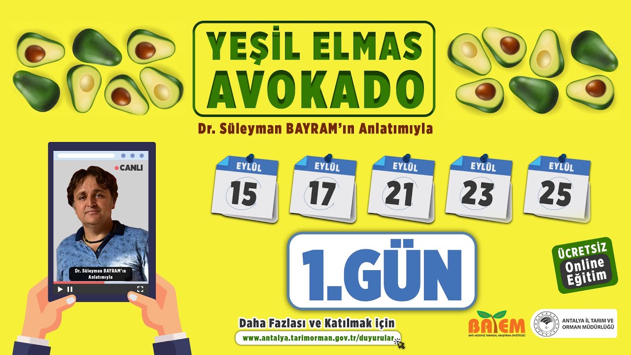 Avokado Yetiştiriciliği 1 -Yeşil Elmas Avokado Eğitimi Dr. Süleyman Bayram 1.Gün
