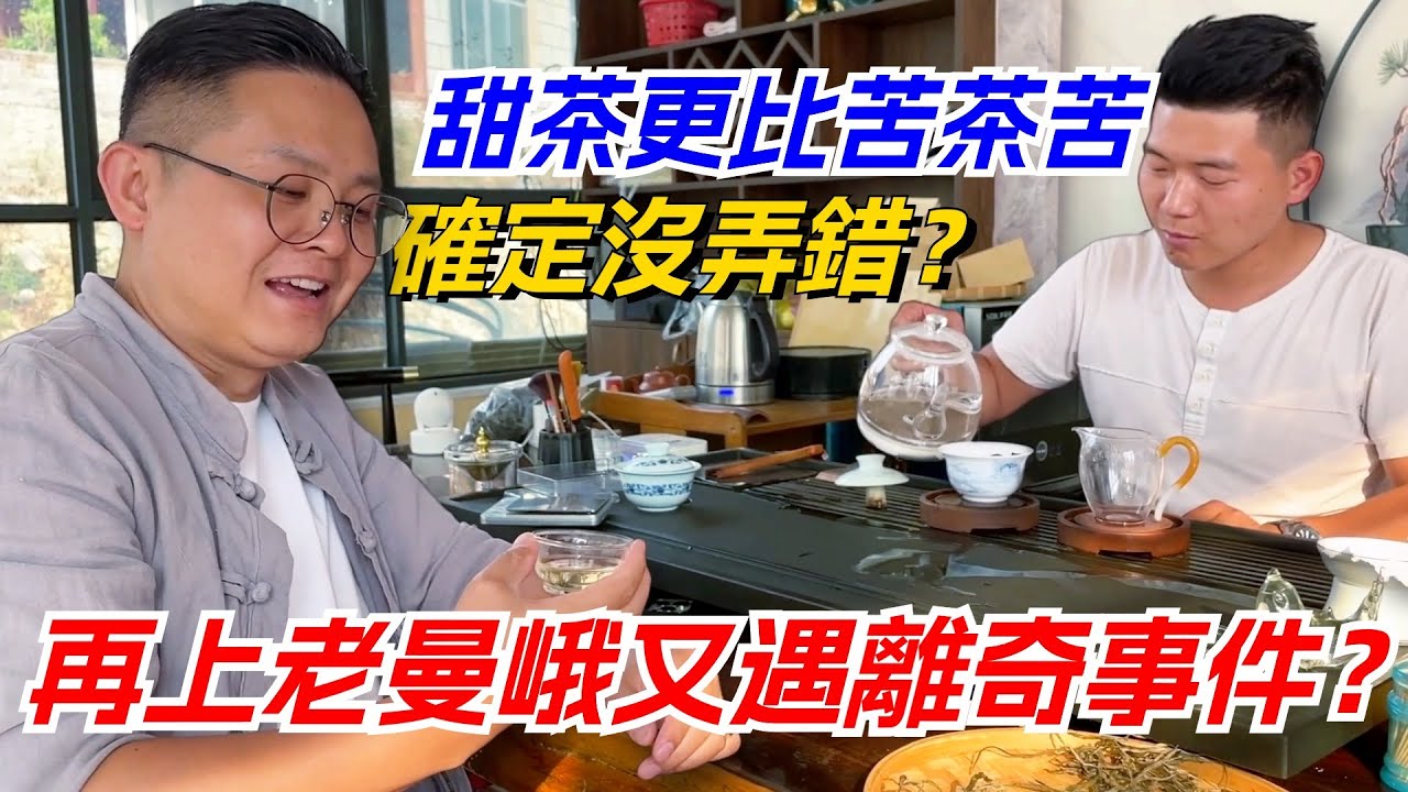 再上老曼峨又遇離奇事件？甜茶更比苦茶苦！老高驚呼沒弄錯？购茶请加微信/赖line：HDLG002#普洱茶#古树茶#老班章#古树茶#茶#茶叶#茶葉#古樹茶 #普洱茶wechat #tea