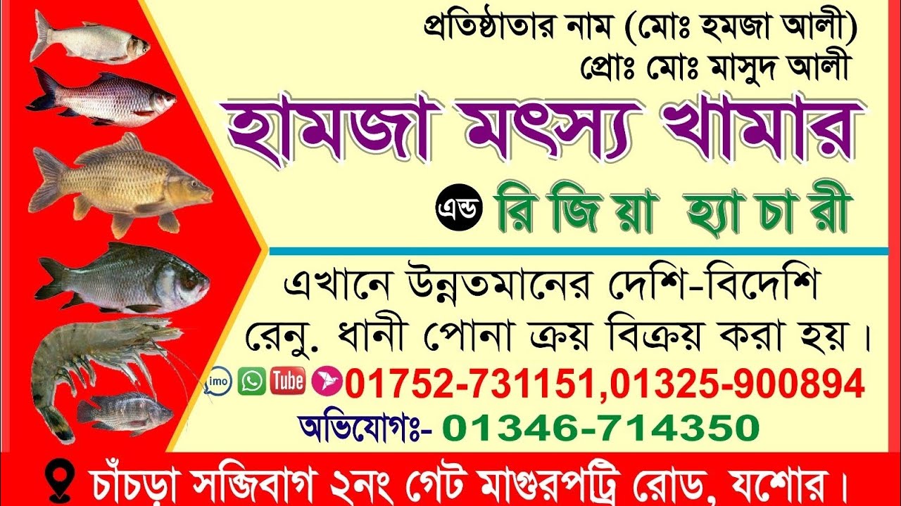 মাছের রেনু মাছের ধানি অল্প টাকার ভিতরে পাওয়া যায় সব ধরনের মাছ 2026