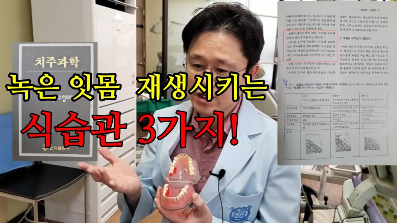 녹은  잇몸 재생 시키는 3가지 식습관! (근거 자료 아래 링크 치주 교과서 참고)