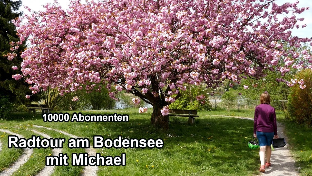 Bodenseeradtour mit Michael