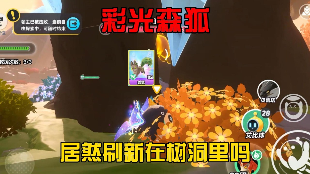 蛋仔派對：彩光森狐！居然刷新在樹洞裏嗎？