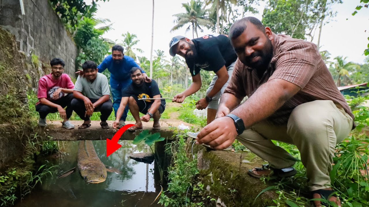 നമുക്ക് തോട്ടിൽ പോയി മീൻ പിടിക്കാം🎣🐟 | Fishing