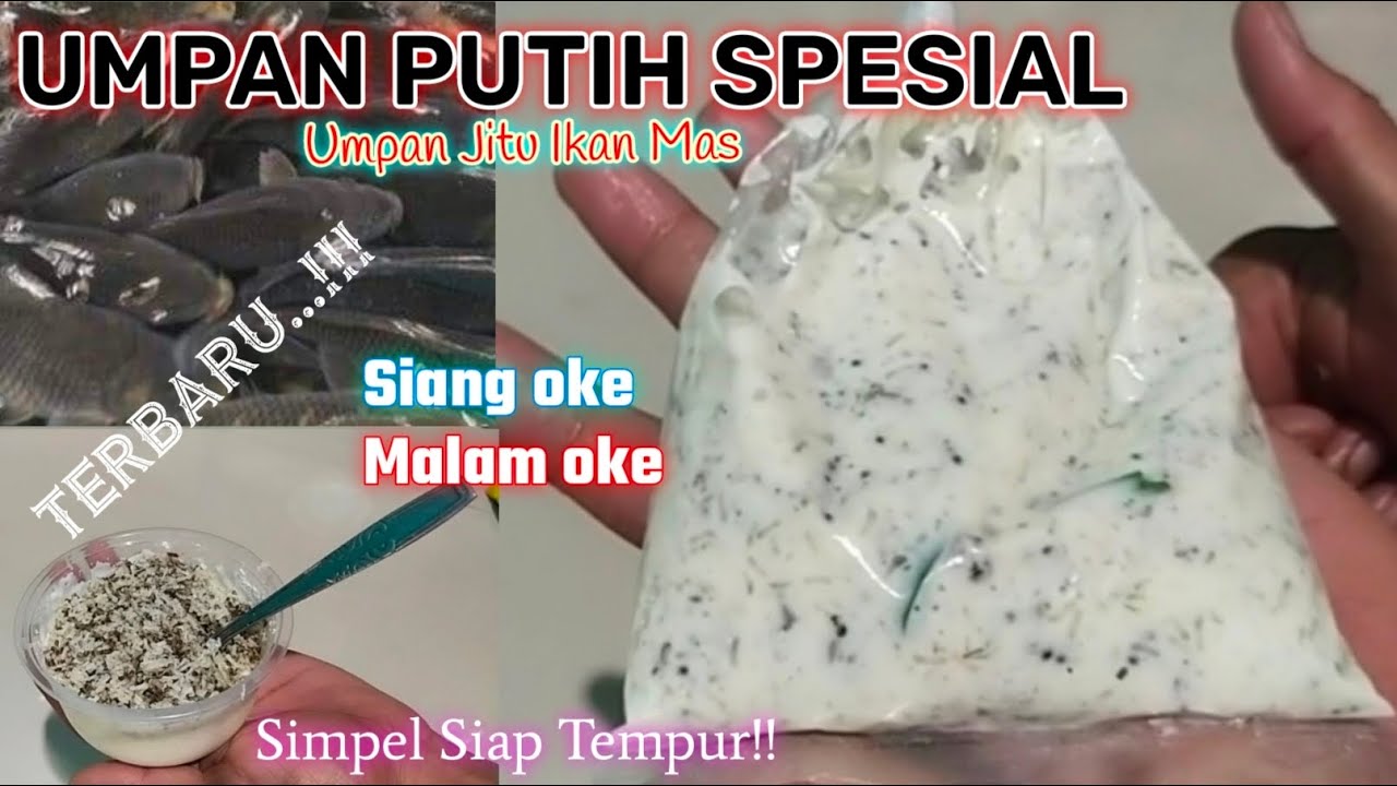 Umpan Target Babon & Rame Siap Angkut🔥Umpan Putih Simpel Terbaru Lagi ya Boskuu siap Gass