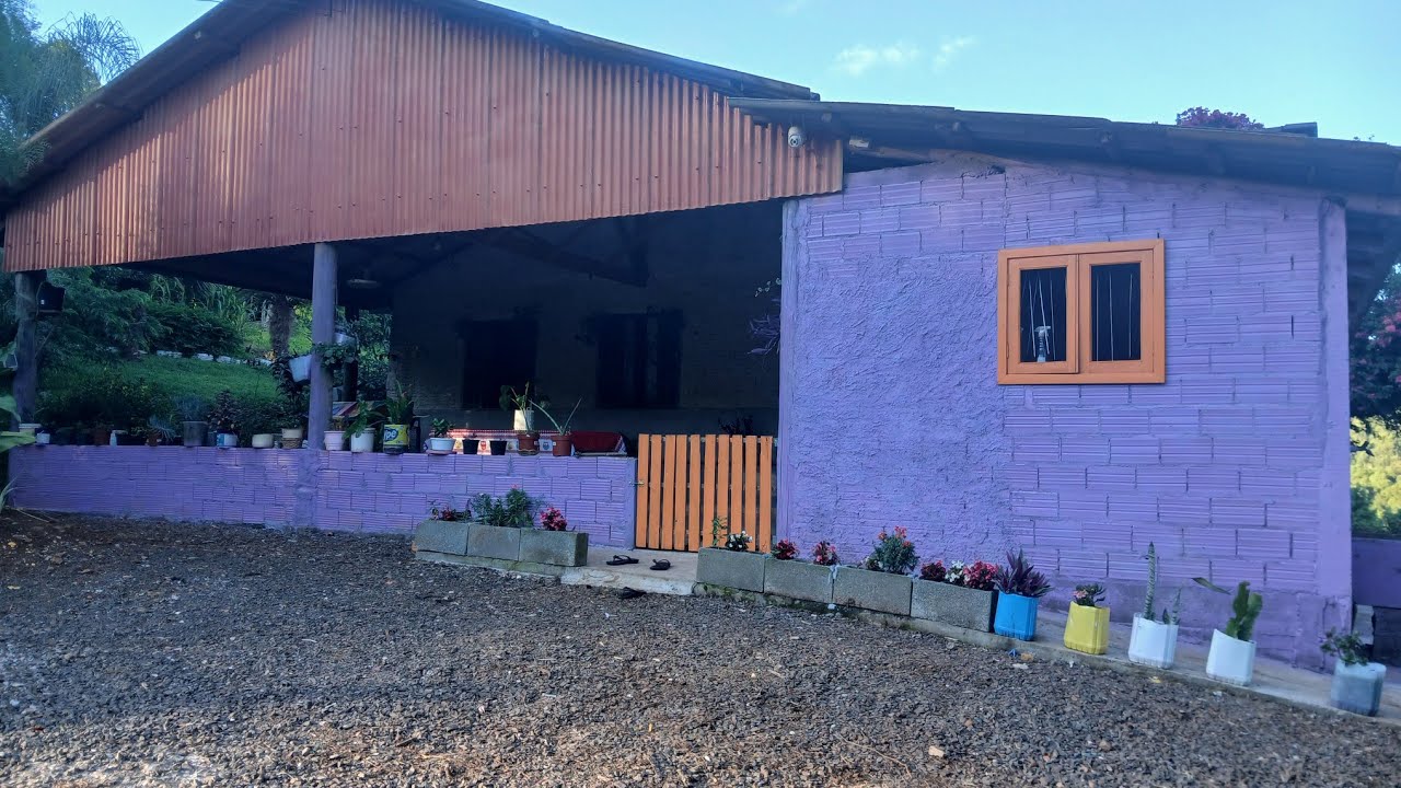 Mais novidades por aq no nosso paraíso, consegui mais uma raiz 🥰pra por suculenta 