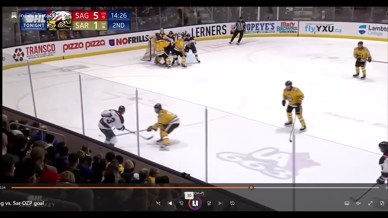 Saginaw OZP Goal vs. Sarnia
