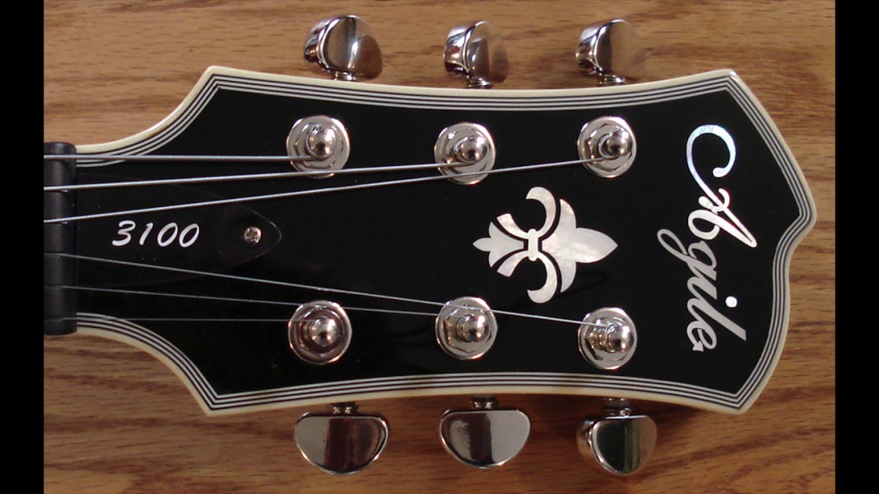 Agile Guitars: A Short History