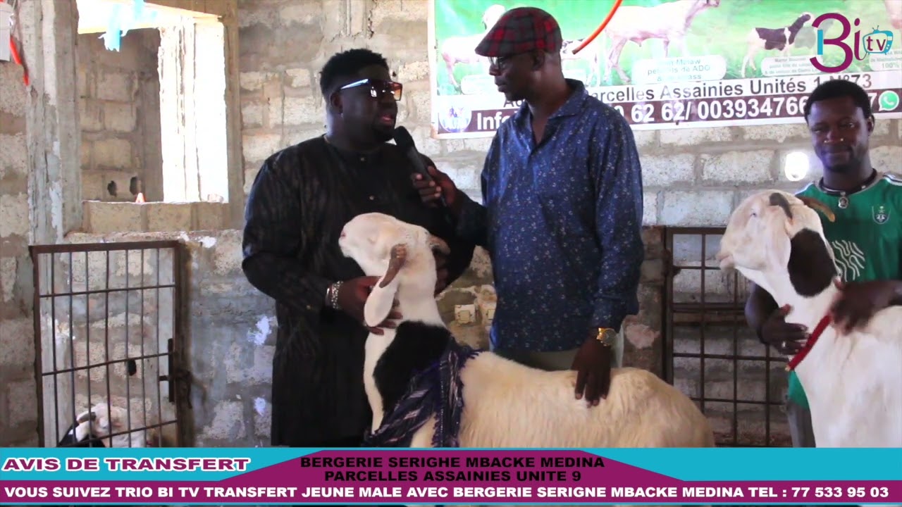 AVIS DE TRANSFERT BERGERIE SERIGNE MBACKE MÉDINA KEUR MASSAR