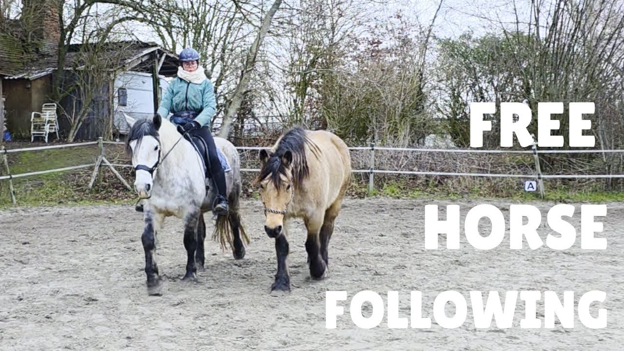 Trust Over Control | Liberty Horse Riding with a Free Horse