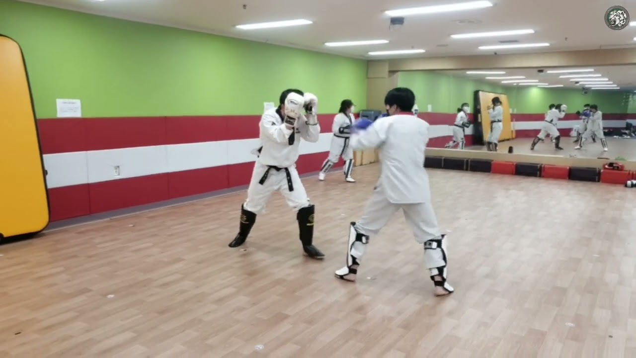 해운대 반여동 태권도 인지태권도 성인부 성인태권도