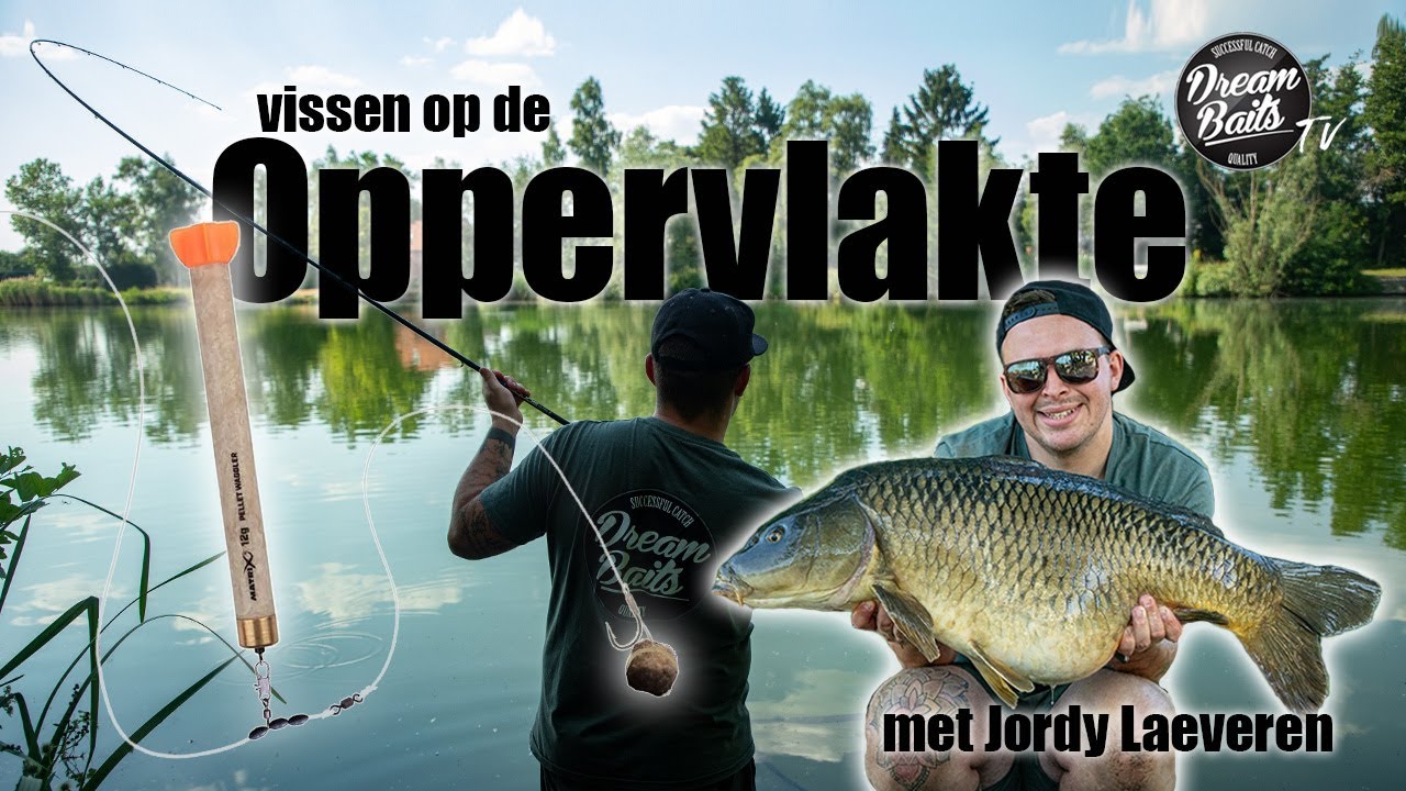 Karpervissen op  de oppervlakte