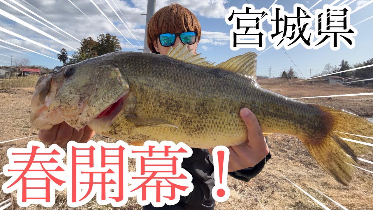 （宮城県バス釣り）春開幕しました。もしかしたら東北で最短最速で釣れたかもしれません。