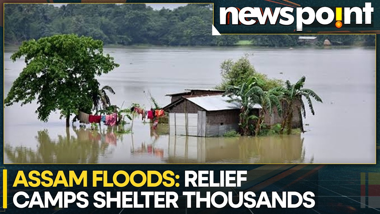 Assam Floods Death Toll Reaches 97, Dhansiri River Above Danger Mark | WION Newspoint
