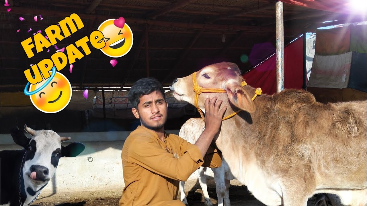 After 1 month Ky Baad Farm Ki Update 🥺🙏🏻..  