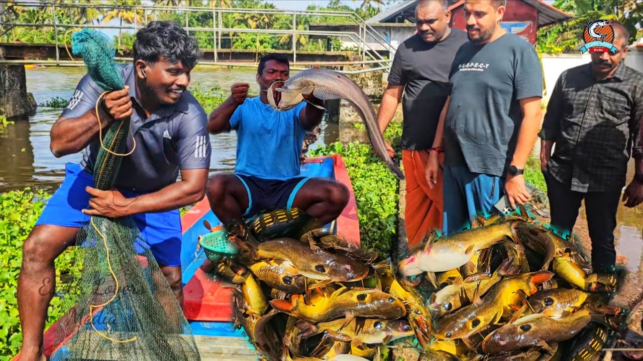 കോഴിക്കോട് നിന്ന് മീൻ വാങ്ങാൻ വന്ന സബ്സ്ക്രൈബറും കുടുംബവും, അവർക്കു കൊടുത്ത മീൻ എല്ലാം ജീവനോടെ