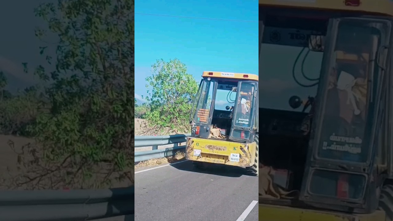 JGP