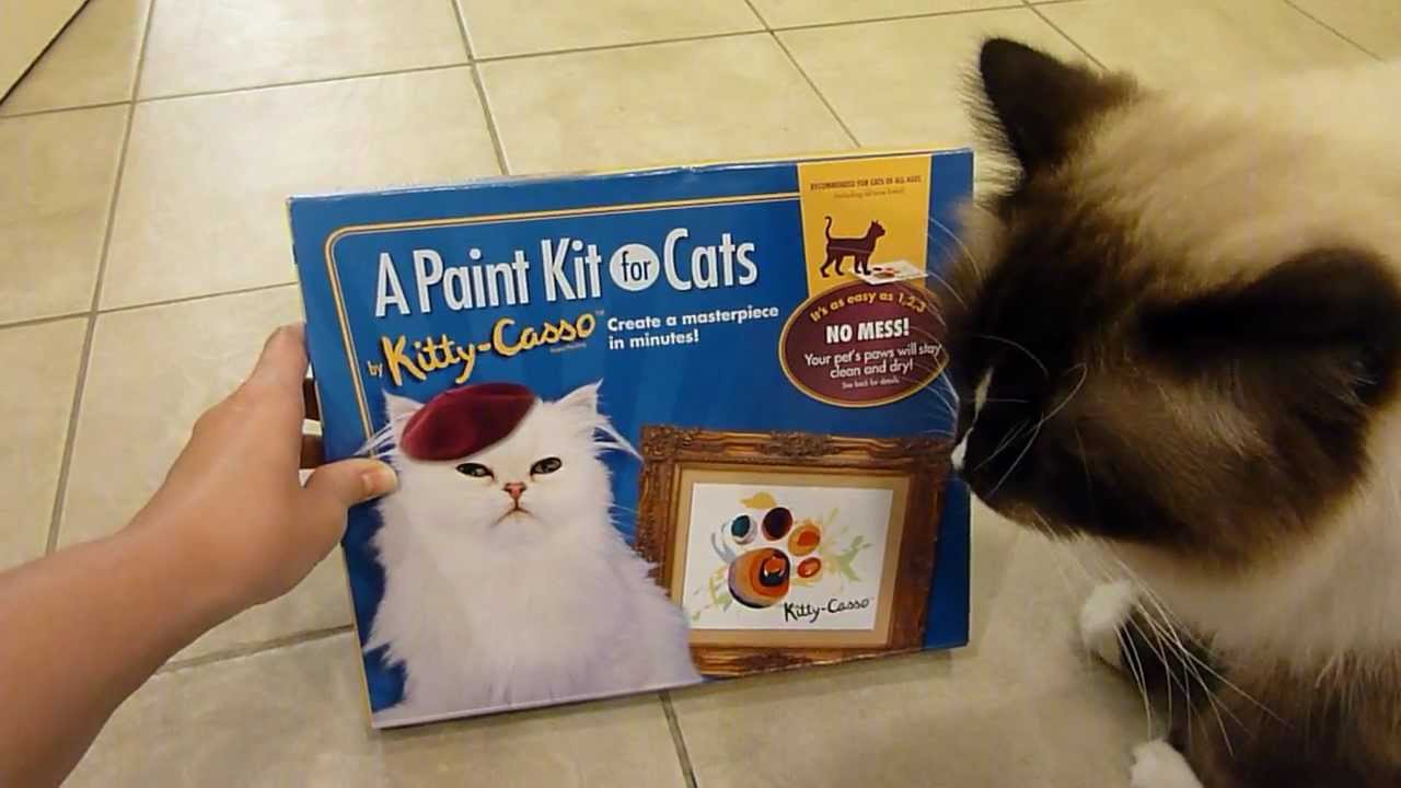 Ragdoll Cats Receive A Paint Kit for Cats to Review - ねこ - ラグドール -- Floppycats