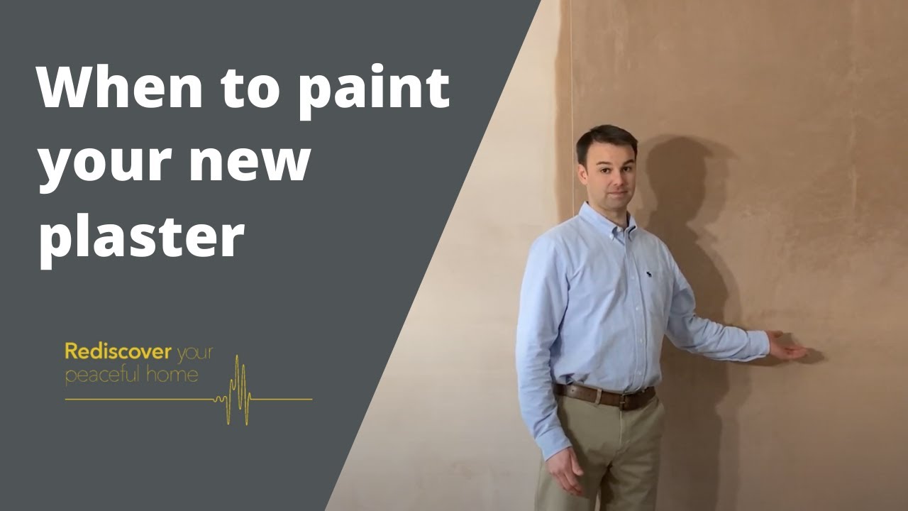 When to Paint New Plaster | Guides | Quietco