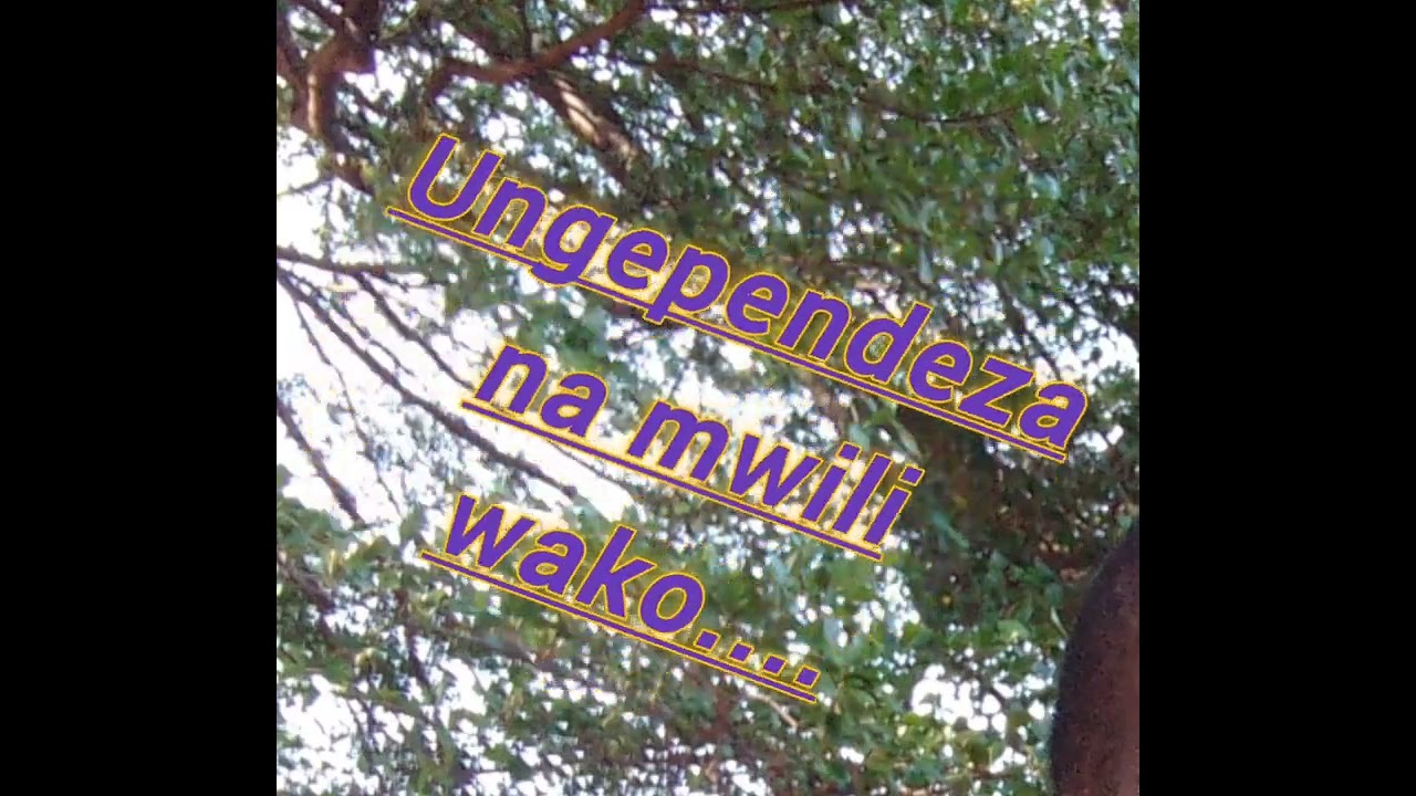 usasa