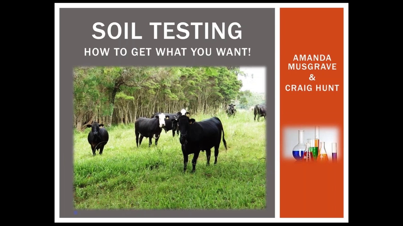 Soil testing: how to get what you want