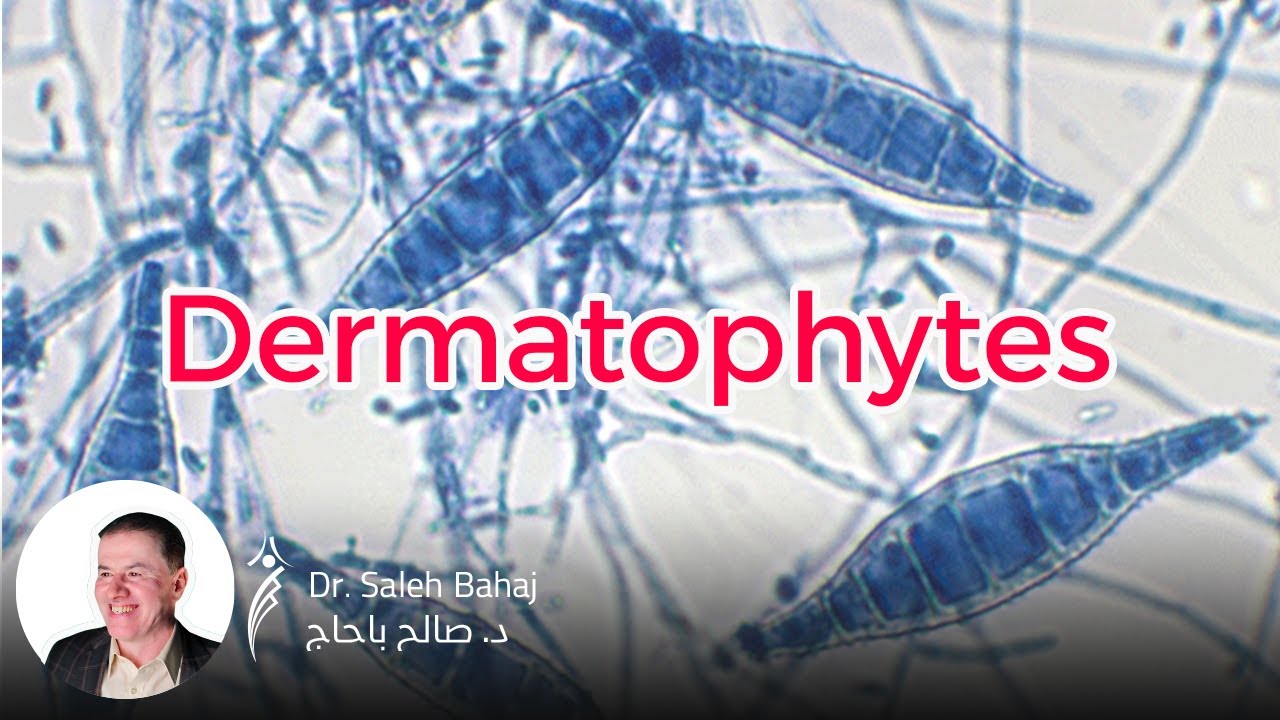4. Dermatophytes