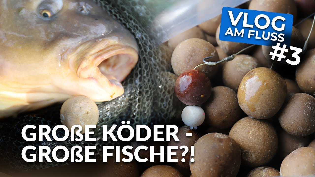 VLOG am Fluss #3 - Große Köder - große Fische?! | Karpfenangeln mit Boilie Big Balls | P.R. Baits