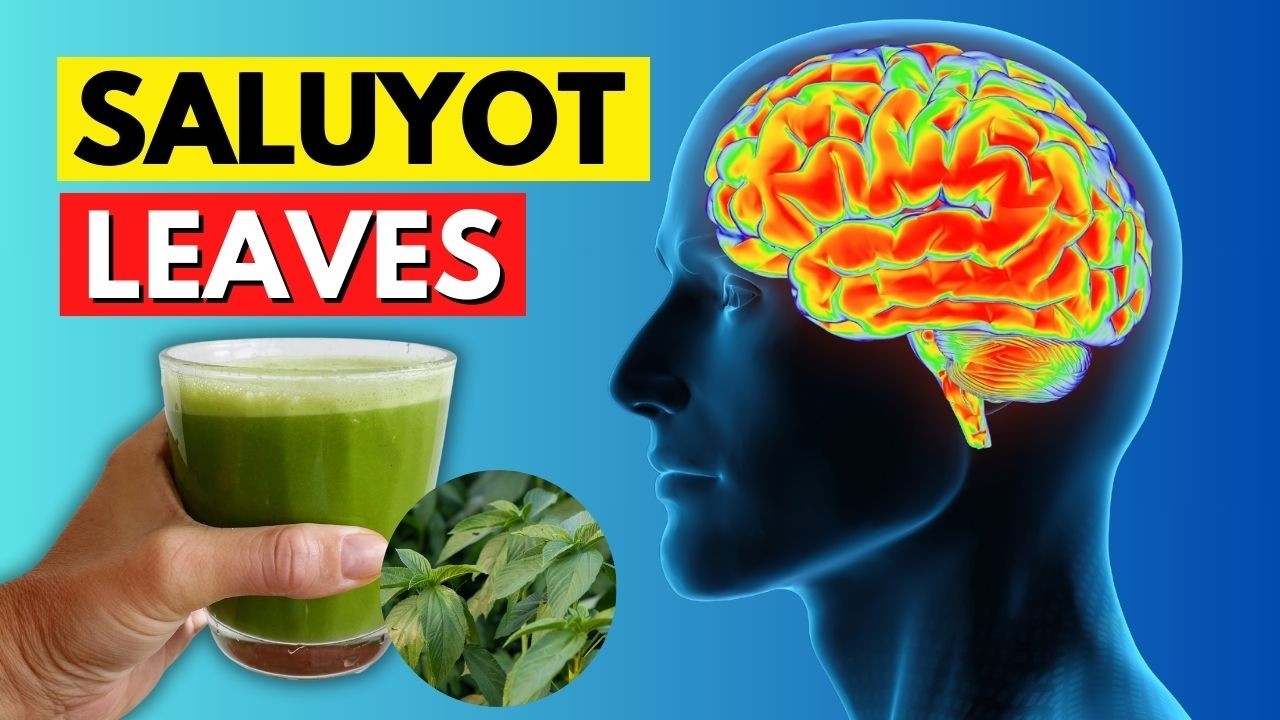 Seniors, Here&rsquo;s Why Saluyot Is One of the Healthiest Vegetables for You