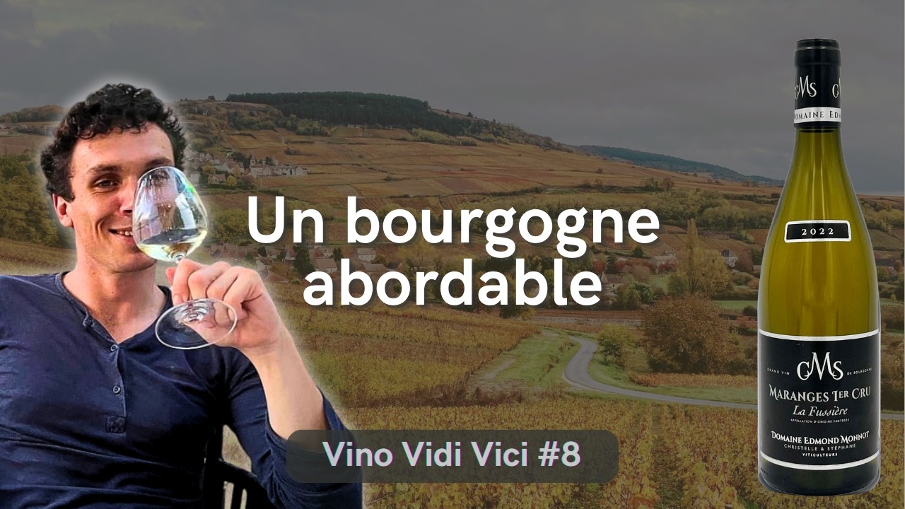 Tous les bons vins de Bourgogne ne sont pas hors de prix : la preuve